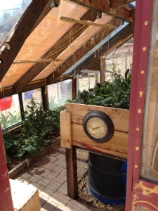 The $30 Greenhouse Image